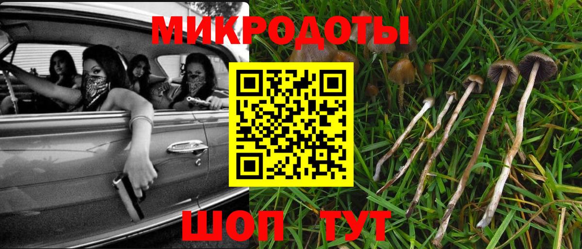 Псилоцибиновые грибы мицелий Алатырь
