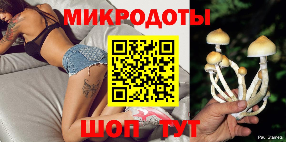 Галлюциногенные грибы GOLDEN TEACHER  Вход с VPN  Алатырь 