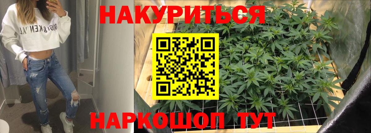 Шишки марихуана марихуана Алатырь